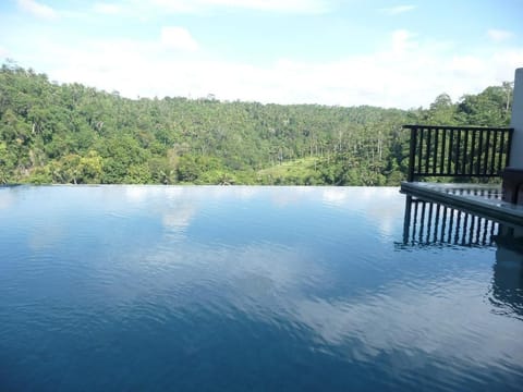 Cozy 1 BR Private Pool Villa #L205 Villa in Payangan