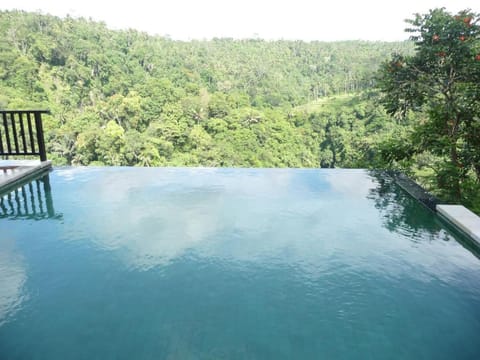 Luxury 1 BR Private Pool Villa #Z11 Villa in Payangan