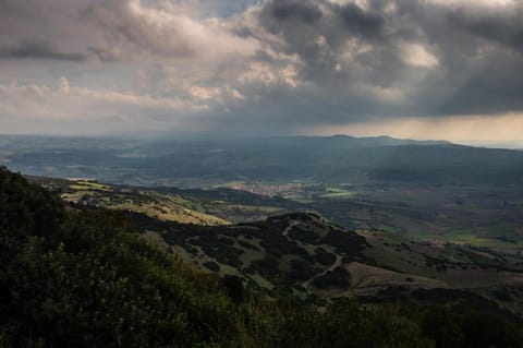 Ginepro & Co. Apartment in Sardinia