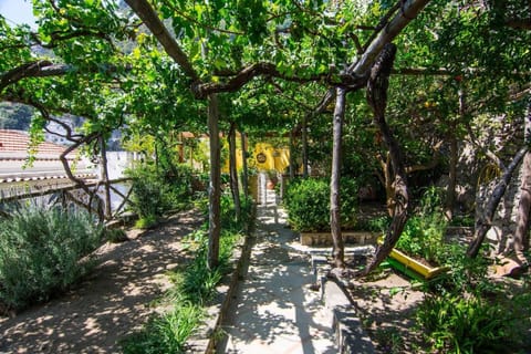 Positano Comfortableapt With Gorgeous Lemongarden Apartment in Positano