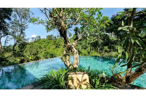  One Bedroom Family Pool Villa with Valley View Villa in Ubud