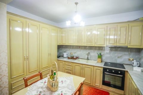 Luxurious Apartment Lake View Apartment in North Macedonia