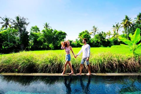Cozy 1 BR Royal Rice field Pool Villa ZN140A Villa in Ubud