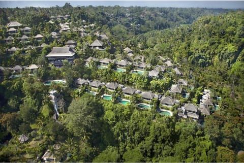 1BR Deluxe Private Pool with Fresh Mountain View Villa in Abiansemal