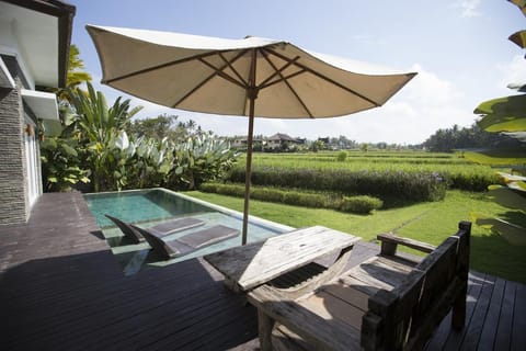 1BR Quite Place Private Pool with Rice Field View  Villa in Ubud