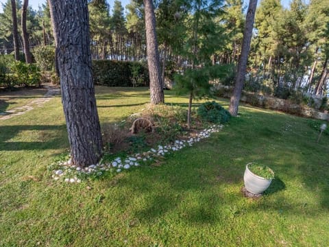 Sani Villa Elkida Villa in Halkidiki