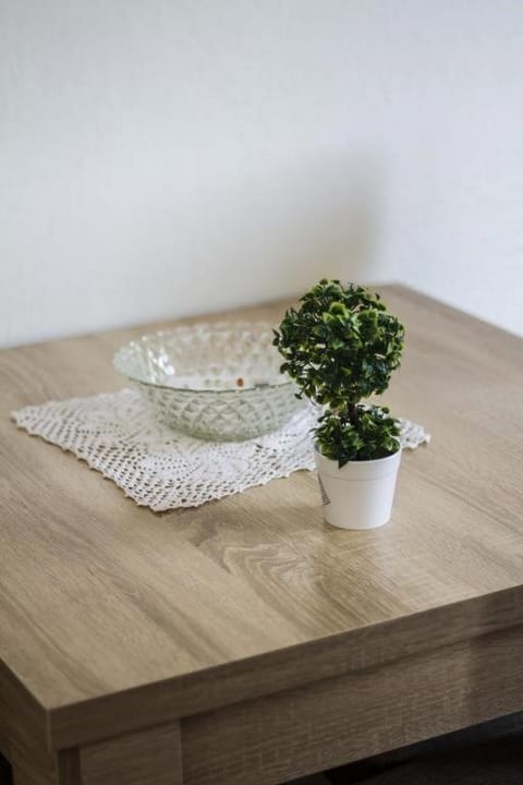 Apartment Lazar & Marco Apartment in Podgorica