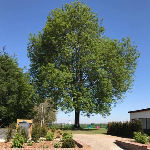 Gîtes du Frêne Vacation rental in Hauts-de-France