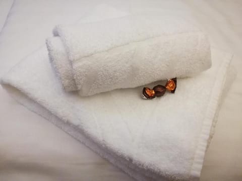 B&B Hotel Elselina Bed and Breakfast in Rotterdam