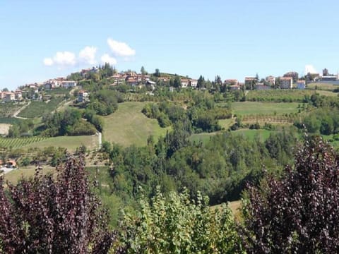 House Historic Royal Belvedere Langhe Vacation rental in Liguria