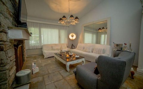 Sani Villa Elkida 2  Villa in Halkidiki