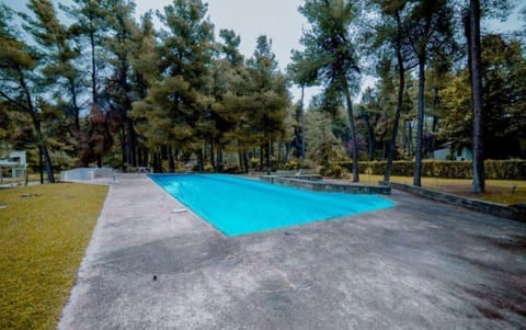 Sani Villa Elkida 2  Villa in Halkidiki