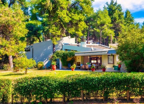 Sani Villa Elkida 6 Villa in Halkidiki