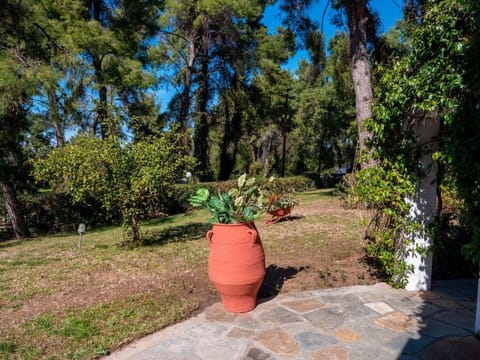 Sani Villa Elkida 6 Villa in Halkidiki