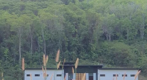 Farm House kohyaoyai Hostel in Krabi Changwat