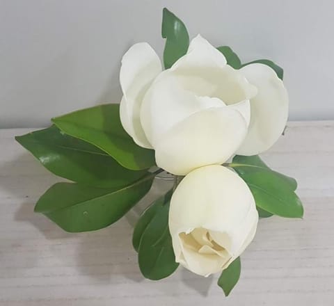 Apartman  Apartment in Federation of Bosnia and Herzegovina