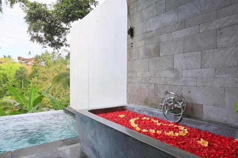 Luxury 1 BR Valey Pool Villa ZN106A Villa in Ubud