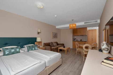 Studio apartment with a seaview Apartment in Tučepi