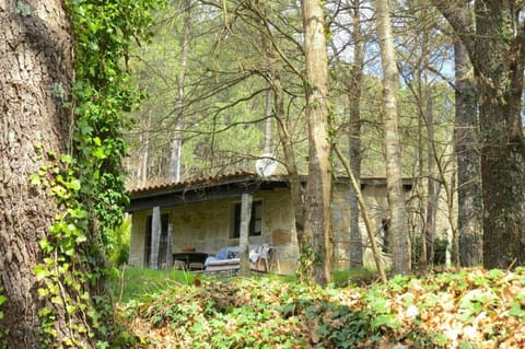Forest House casinha do Carvalhal Farm Stay in Viana do Castelo District, Portugal