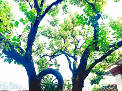 HR怀柔/红螺寺/慕田峪/雁栖湖/喵喵民宿小院 Vacation rental in Beijing