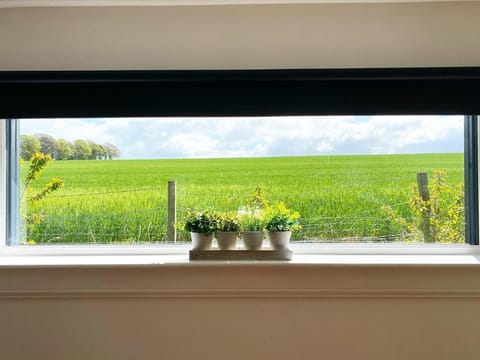 Druid House Lodge Vacation rental in Scotland