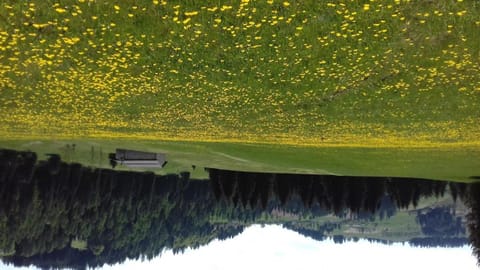 Chalet Alice Vacation rental in Trentino-South Tyrol