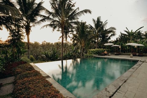Over 50BR with Jungle-Valley-View in Ubud Villa in Ubud