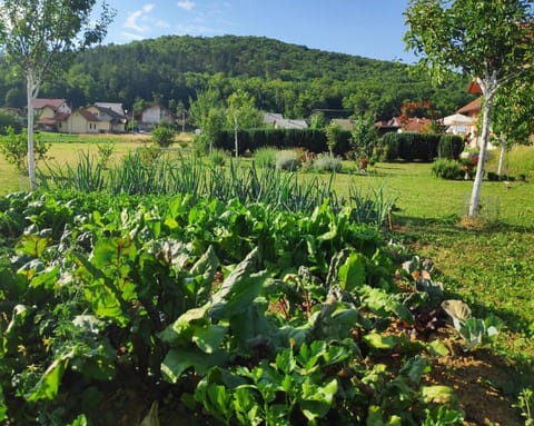 Apartment "Urban Nature" Vacation rental in Lika-Senj County