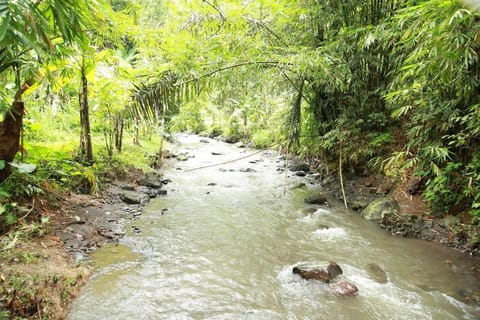 Deluxe Hill View Room at Pitanatri Guest House Apartment in Marga