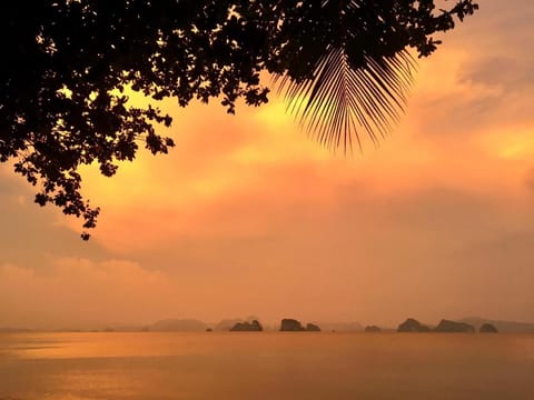 Villa Samba with the biggest pool, Koh Yao Noi  Villa in Krabi Changwat