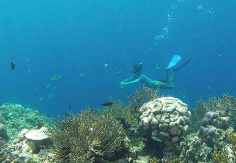 Traditional Design with Hills Panoramic View Vacation rental in Bali