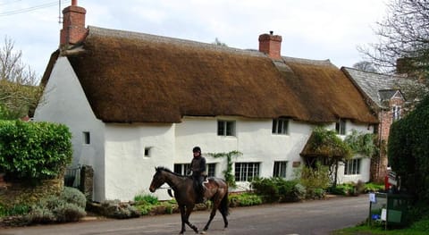 The Notley Arms Inn Hotel in West Somerset District