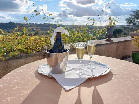 Château Haute Roche Bed and Breakfast in Oudon