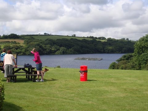 Llysyfran Farm B&B Farm Stay in Wales