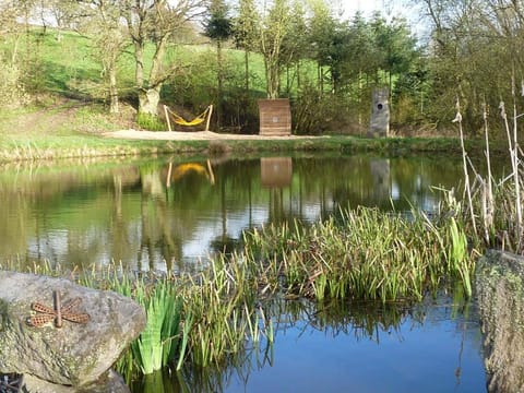 Ferien im Hunsrück Apartment in Rhein-Hunsrück-Kreis