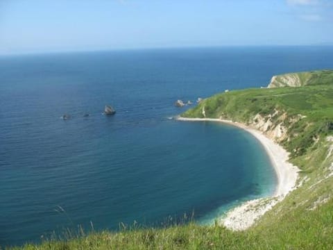 Frome Dale Hotel in Wool