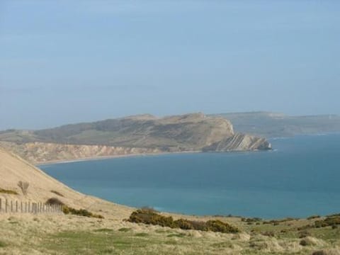 Frome Dale Hotel in Wool