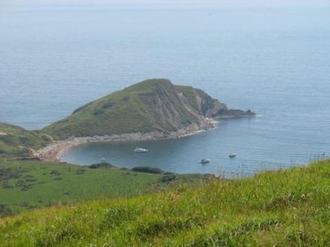 Frome Dale Hotel in Wool