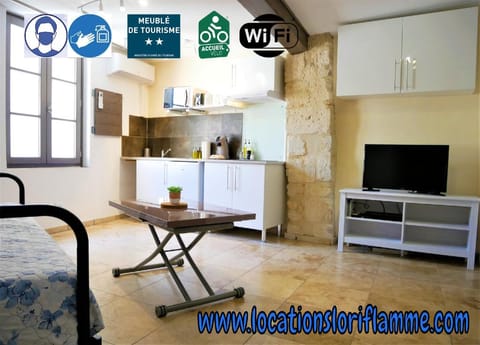 Le Travertin Apartment in Avignon