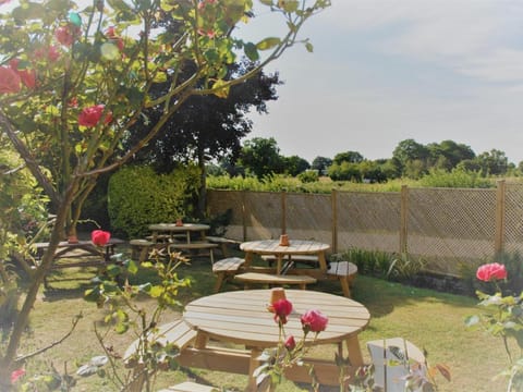 The Bird in Hand Inn in South Norfolk District