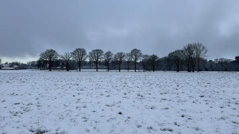 B&B 't Mjeels Pierke Bed and Breakfast in Breda