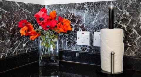 Velvet 2-bedroom apartment Clock House - Hoddesdon Apartment in East Hertfordshire District