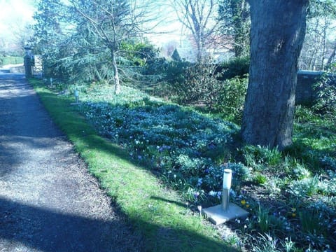 Spylaw Bank House Hotel in Edinburgh