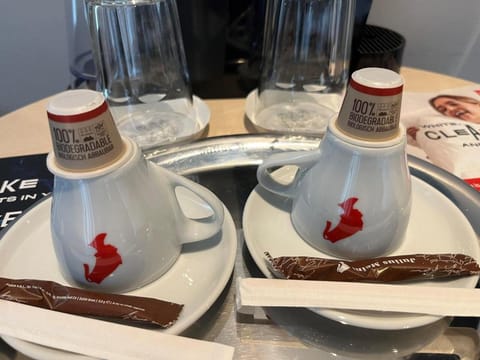 ibis Timisoara City Center Hotel in Timisoara