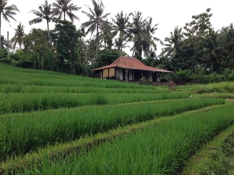 Alam Balian Hidden Paradise Villa in West Selemadeg