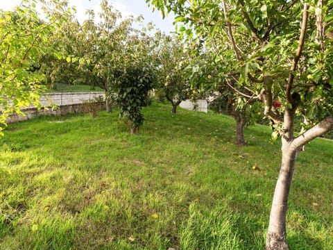 Belvilla by OYO Becampobasso apt blue Apartment in Molise, Italy