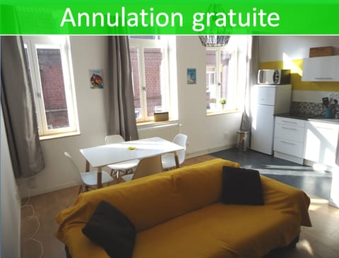 Appartement Lille/1ch/stationnement gratuit Apartment in Lille