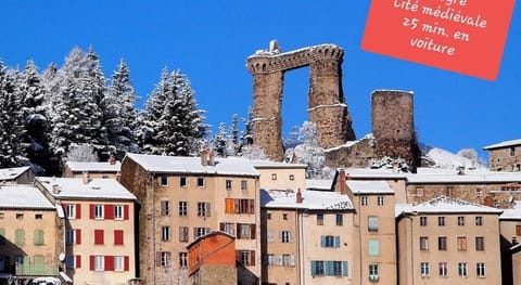 Au Lion d'Or Apartment in Auvergne-Rhône-Alpes