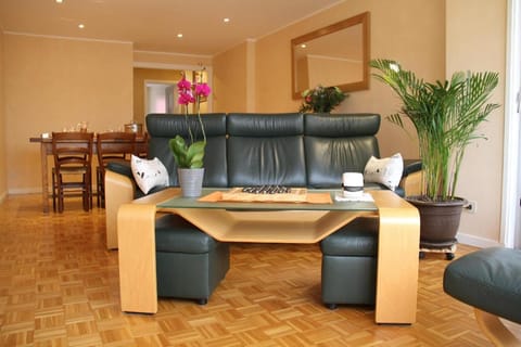 Au Lion d'Or Apartment in Auvergne-Rhône-Alpes