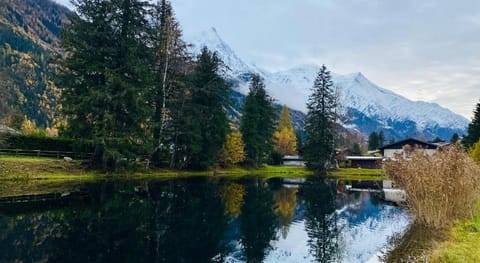 Chalet Baraka Vue MontBlanc Chalet in Chamonix